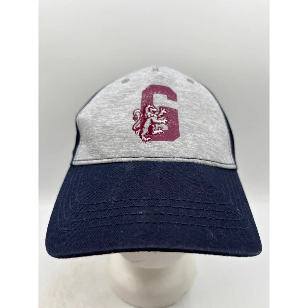 Harry Potter Gryffindor Hat Youth Strapback Adjustable Gray/Navy Cap OSFM